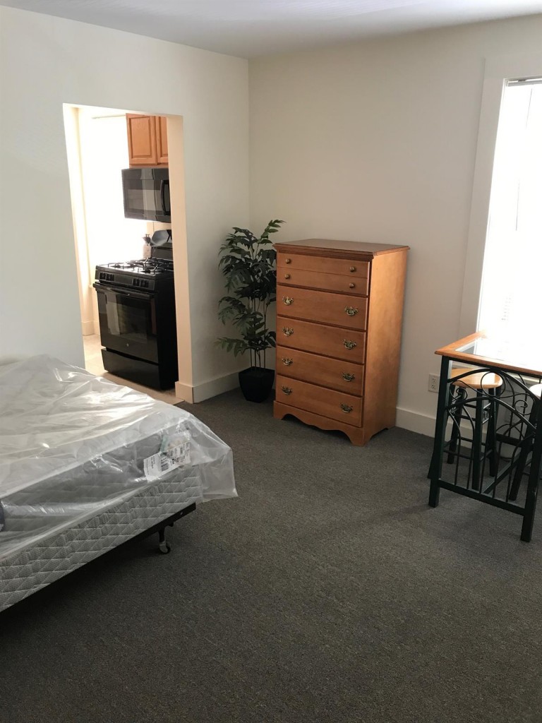 houses to rent near collegetown ithaca 117 Dewitt Place 23