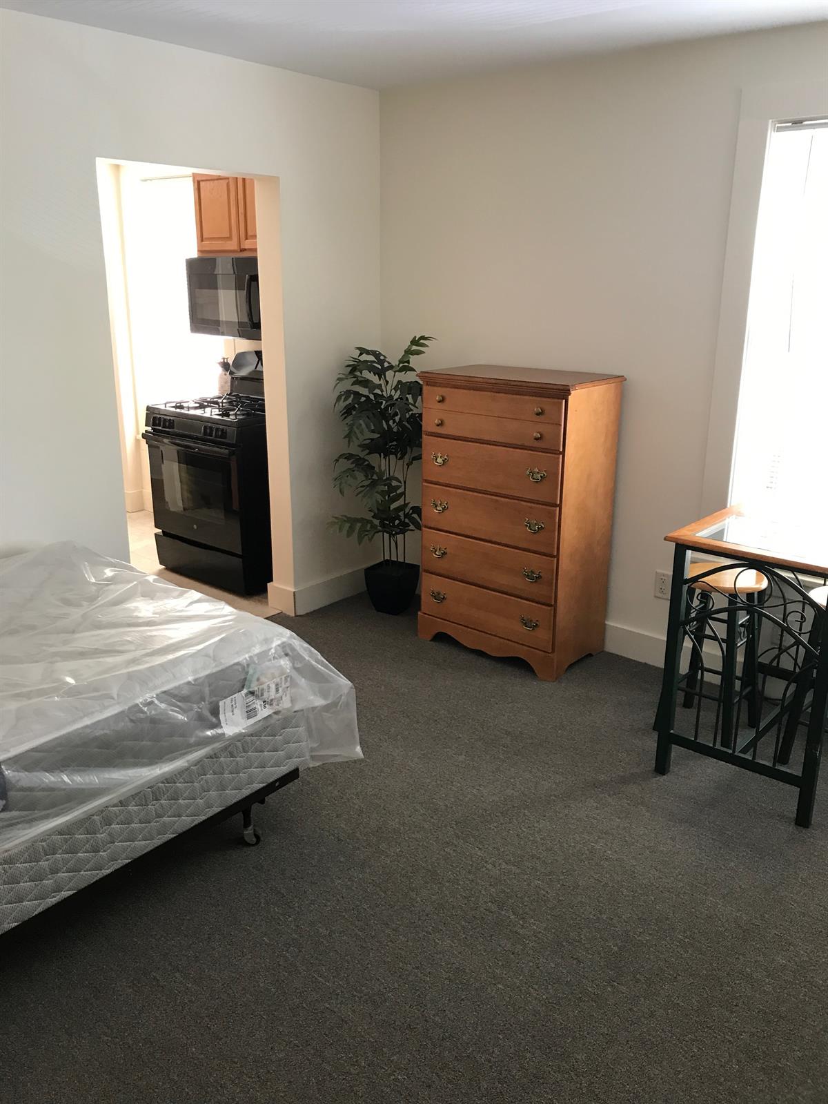 houses to rent near collegetown ithaca 117 Dewitt Place 23
