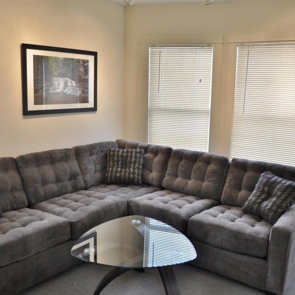 student apartments for rent near collegetown ithaca 203 Williams Street, #5