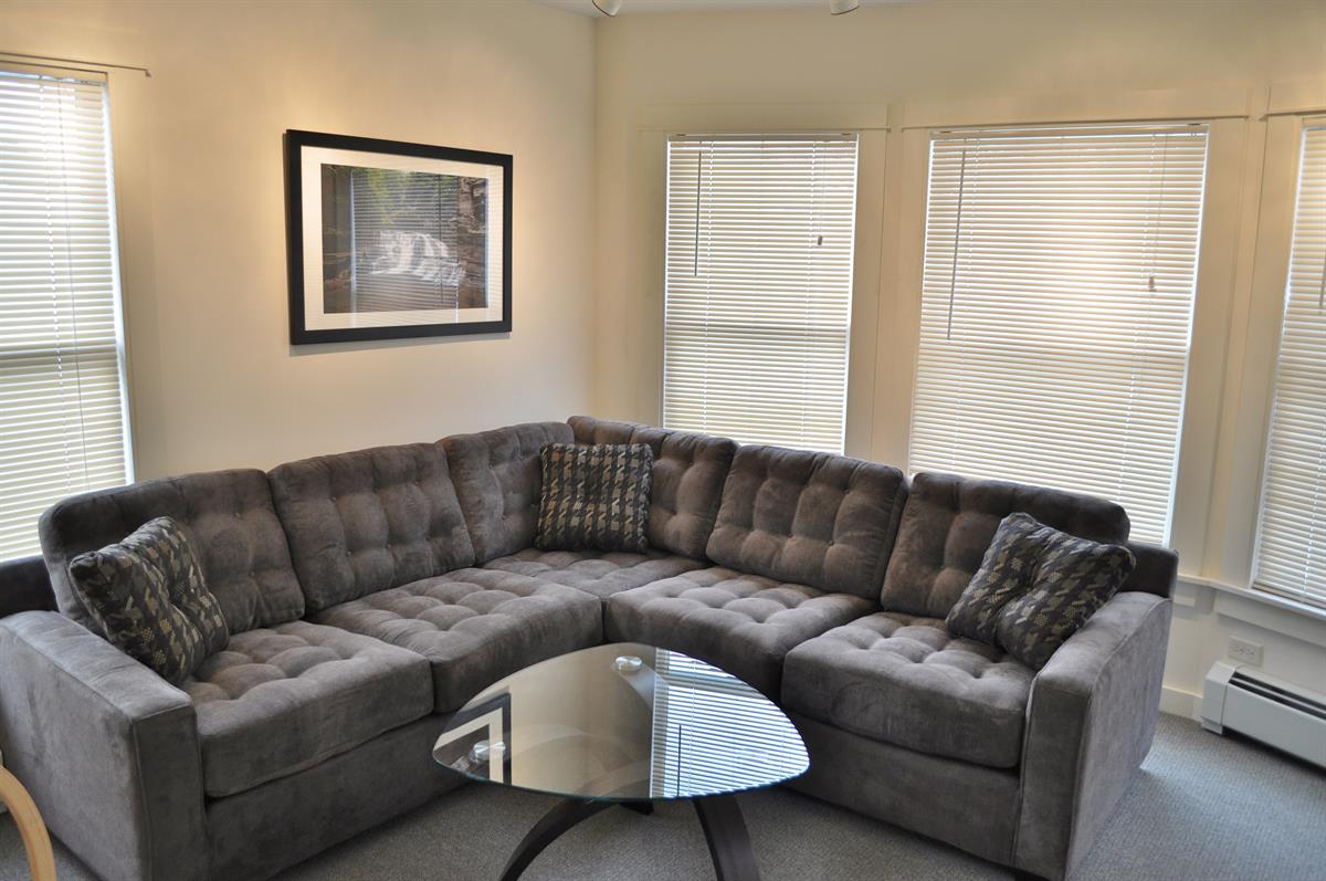 student apartments for rent near collegetown ithaca 203 Williams Street, #5