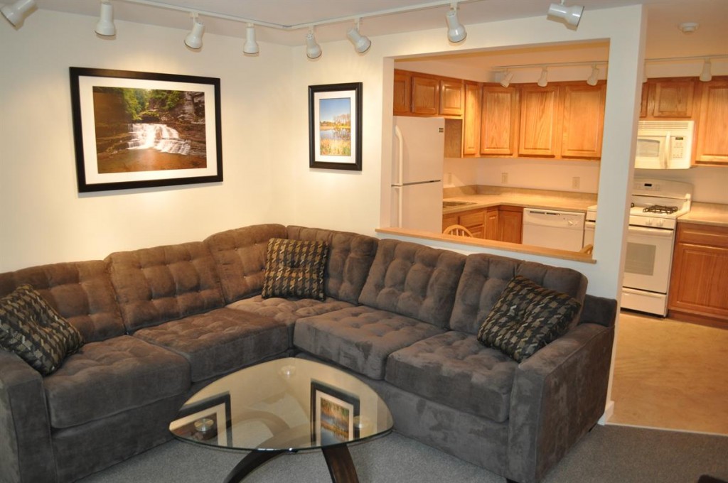 apartments for rent in ithaca 203 Williams Street 32