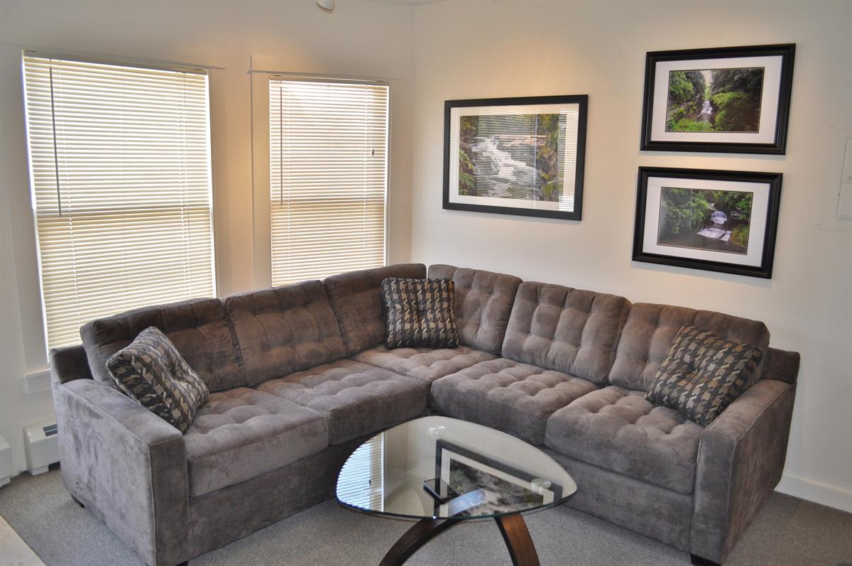 apartments for rent in ithaca 203 Williams Street