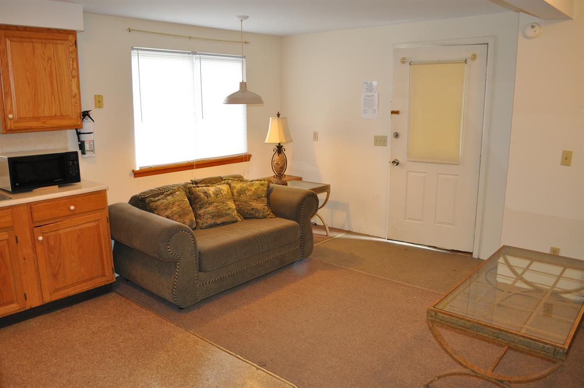 Ithaca renting 205 Williams St