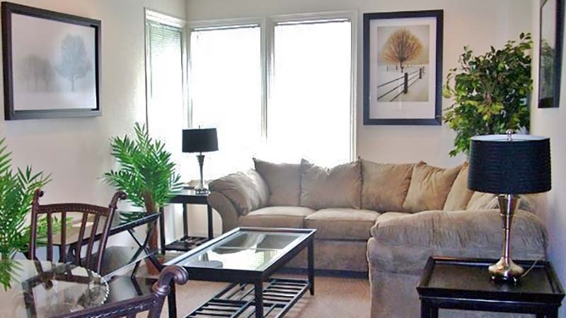 Cornell off campus housing options