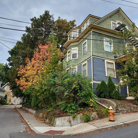 202 Williams Street